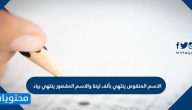هل الاسم المنقوص ينتهي بألف لينة والاسم المقصور ينتهي بياء