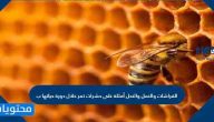 الفراشات والنمل والنحل أمثلة على حشرات تمر خلال دورة حياتها ب