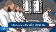 حكم موافقة المأموم للإمام في الصلاة