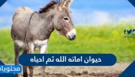 حيوان اماته الله ثم احياه مذكور بالقران مع الدليل