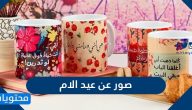 صور عن عيد الام 2025