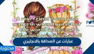 عبارات عن الصداقة بالانجليزي مترجمة