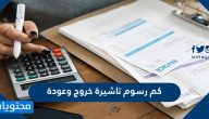 كم رسوم تاشيرة خروج وعودة 2025