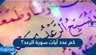 كم عدد أيات سورة الرعد؟