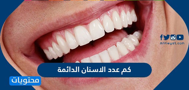 كم عدد الاسنان الدائمة وما الفرق بينها وبين الاسنان اللبنية