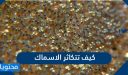 كيف تتكاثر الاسماك