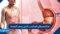 ما المصطلح المناسب الذي يصف المعدة
