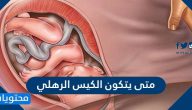 متى يتكون الكيس الرهلي وماذا لو ظهر كيس الحمل فارغا