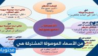 من الأسماء الموصولة المشتركة هي