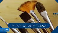 من اين يتم الحصول على شعر فرشاة