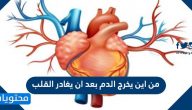 من اين يخرج الدم بعد ان يغادر القلب
