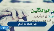 من صور بر الام وأهميته وفضله .. عبارات وصور جميلة ومؤثرة عن بر الام