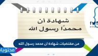 من مقتضيات شهادة ان محمد رسول الله