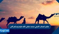 هاجر اصحاب النبي محمد صلى الله عليه وسلم الى