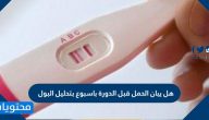 هل يبان الحمل قبل الدورة باسبوع بتحليل البول