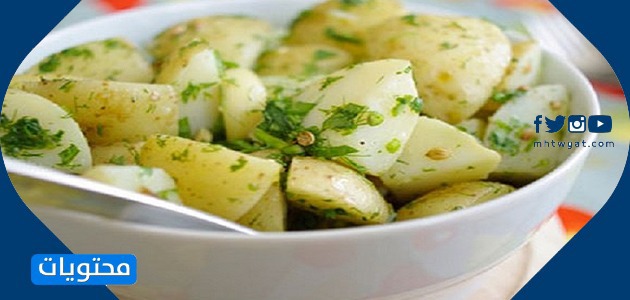 سلطات سهله وخفيفه بالصور