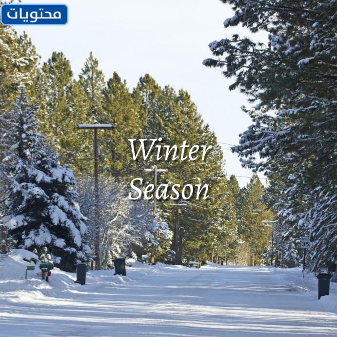 عبارات عن المطر بالانجليزي موقع محتويات