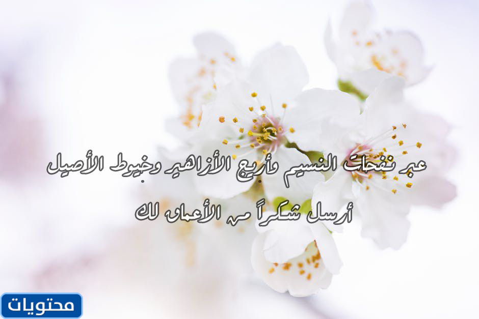 عبارات شكر للمديرة تويتر