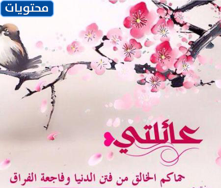 كلام جميل عن العائلة 2021 أجمل عبارات وأقوال عن الأهل والأقارب مكتوبة موسوعة مدرستي التعليمية