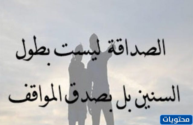 شعر عن الصداقة نواعم