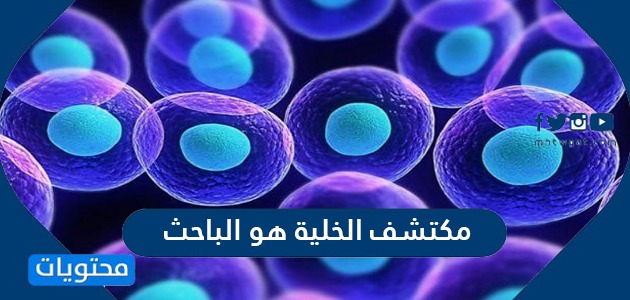 مكتشف الخلية هو الباحث موقع محتويات
