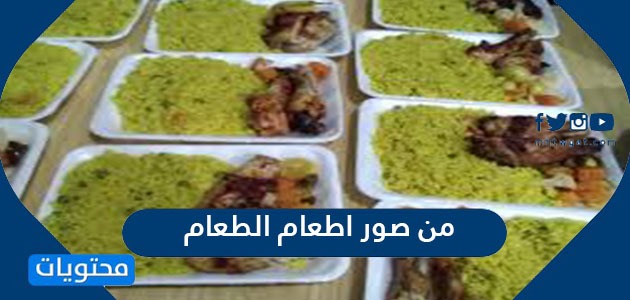 من صور اطعام الطعام موقع محتويات من صور اطعام الطعام موقع محتويات