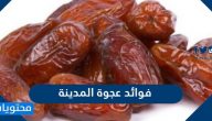 ما هي فوائد عجوة المدينة