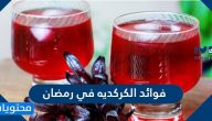 فوائد الكركديه في رمضان لترطيب الجسم وخفض ضغط الدم والكوليستروول
