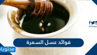 فوائد عسل السمرة وكيف اعرف الاصلي منه