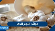 فوائد الثوم الذكر وطريقة استخدامه بالتفصيل