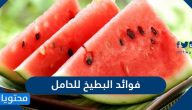 فوائد البطيخ للحامل والجنين