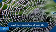لماذا وصف الله بيت العنكبوت اوهن البيوت