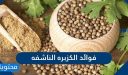 فوائد الكزبرة الناشفة المتنوعة للجسم