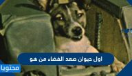 أول حيوان صعد الفضاء من هو