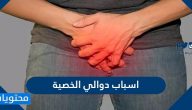 اسباب دوالي الخصية وعوامل الخطورة للإصابة بدوالي الخصية