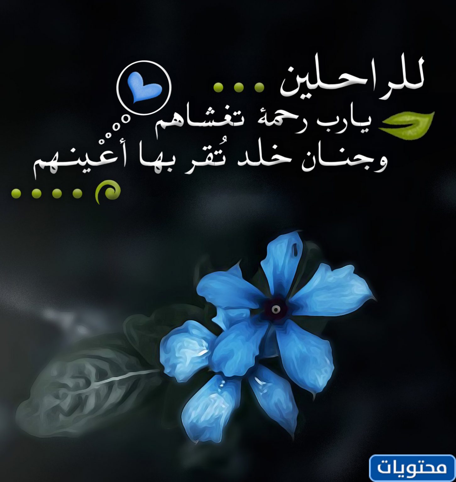 رسالة قبل رمضان