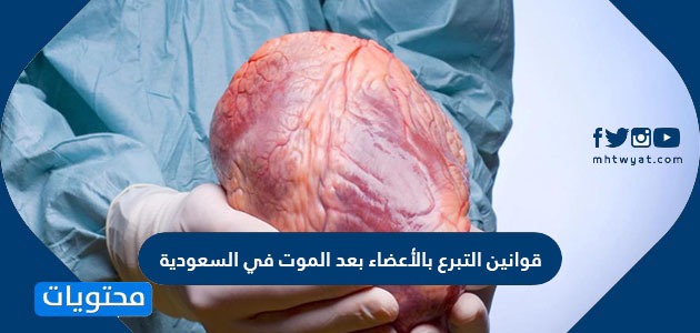 نظام التبرع بالأعضاء بعد الموت في السعودية والإجراءات المطلوبة