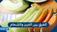 الفرق بين الخربز والشمام والفوائد الصحية لهم