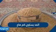 المد يساوي كم صاع