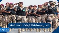 معلومات عن امن وحماية القوات المسلحة ورواتب الملتحقين بها