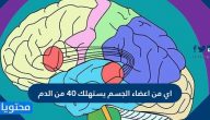 اي من اعضاء الجسم يستهلك 40 من الدم