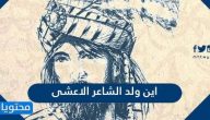 اين ولد الشاعر الاعشى