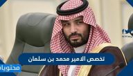ما هو تخصص الامير محمد بن سلمان