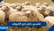 تفسير حلم ذبح الخروف لابن سيرين للعزباء والمتزوجة والرجل والمطلقة بالتفصيل