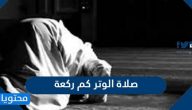 صلاة الوتر كم ركعة ومتى وقتها