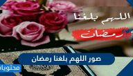 صور دعاء اللهم بلغنا رمضان 2025 .. أجمل صور مكتوب عليها اللهم بلغنا رمضان