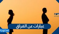 عبارات عن الفراق .. 25 عبارة حزينة عن الفراق عن الأحبة