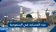 عدد المساجد في السعودية وما هي شروط بناء مسجد في السعودية