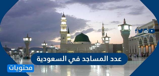 عدد المساجد في السعودية وما هي شروط بناء مسجد في السعودية