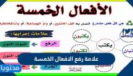 علامة رفع الأفعال الخمسة